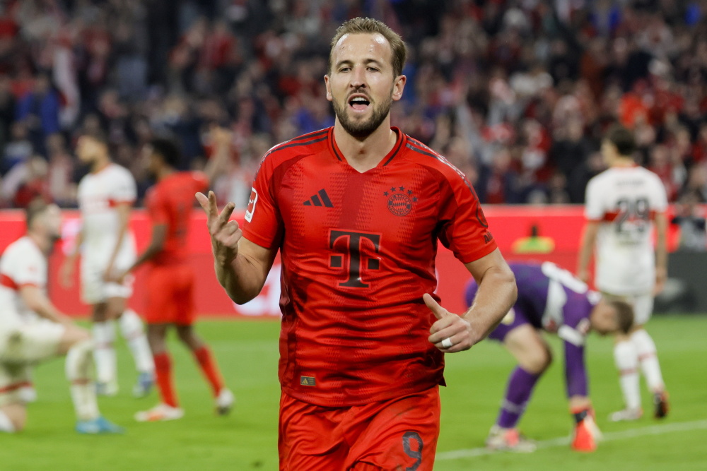 潘帕斯雄鹰 潘帕斯雄鹰